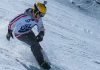 Sled-Dogs-Snowskates