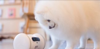 VARRAM-Pet-Fitness-Robot