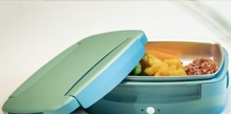Steasy-Portable-Steamer