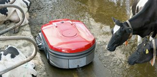 Lely Discovery Collector Manure Robot