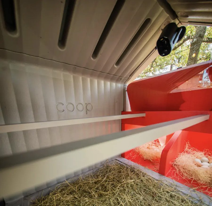 The Roost Inside Camera