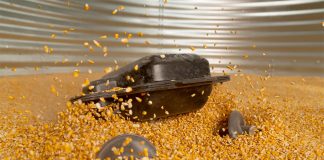 Grain Weevil Granary Management Robot