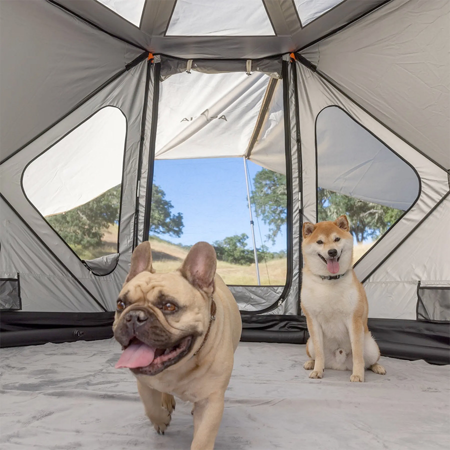 EAST OAK The Space Acacia Tent - 4-Season Green Camping Tent With 2+ Meter Height