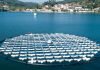 SolarisFloat Protevs Floating Solar Panels