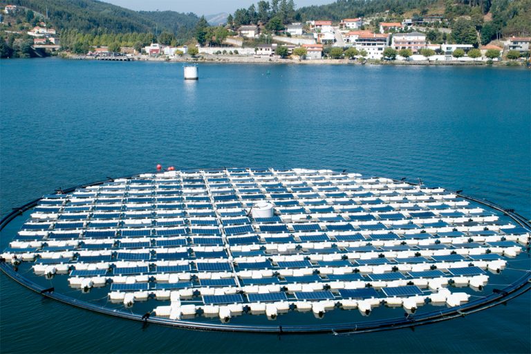 Floating solar panels that track the sun