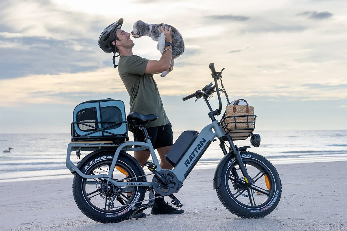 Rattan Quercus Cargo eBike Front Rear Basket