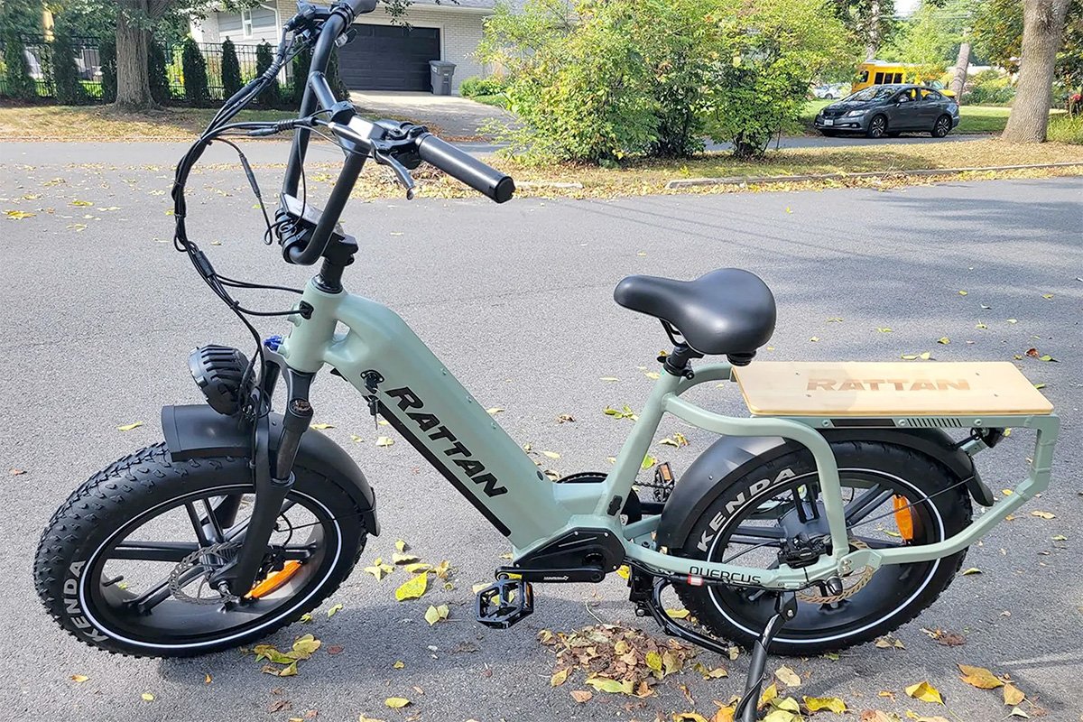 Rattan Quercus Cargo eBike on Road