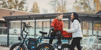 Dolas Defender 250 Cargo eTrike