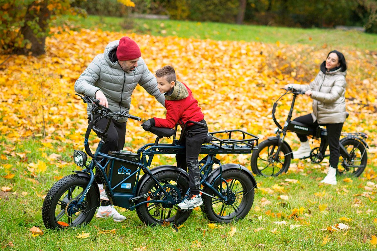 Dolas Defender 250 Cargo eTrike Suspension