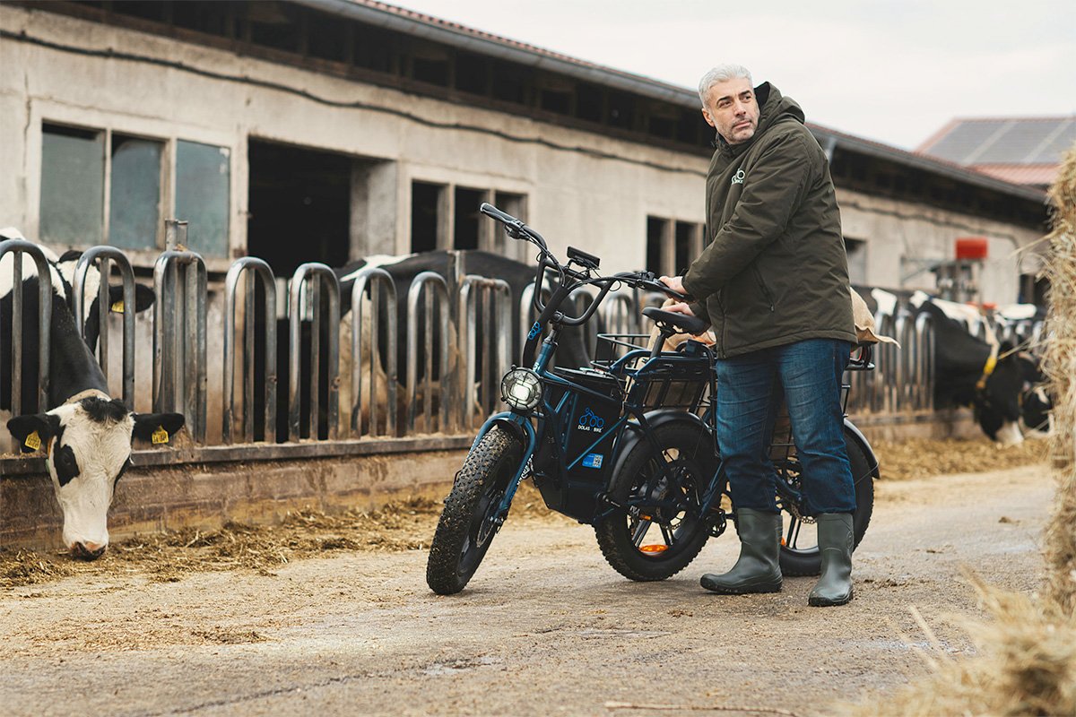 Dolas Defender 250 Cargo eTrike Tires