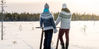eLyly Wooden Electric Snow Scooter