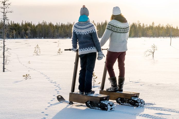 eLyly Wooden Electric Snow Scooter