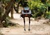 LimX Dynamics P1 Bipedal Robot