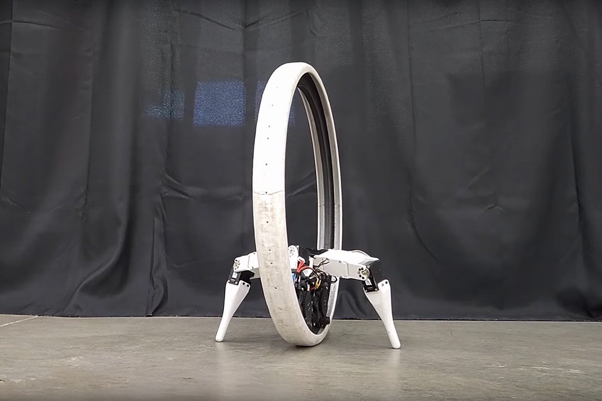 Monocycle Ringbot Legs Down Standing