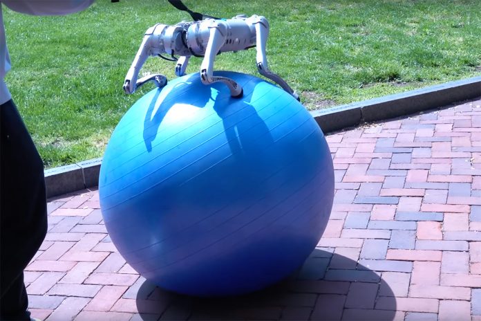 DrEureka ChatGPT-trained Robot Dog