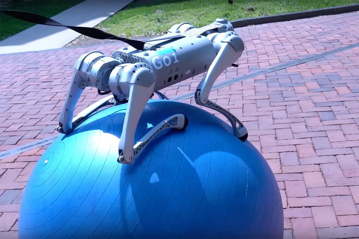 DrEureka ChatGPT-trained Robot Dog Walks on Swiss Ball
