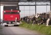 Lely Exos Autonomous Fresh Grass Harvester Feeder