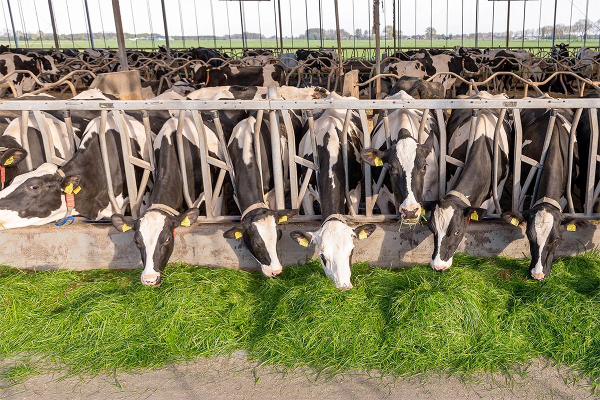Lely Exos Cow Health
