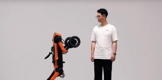 LimX Dynamics W1 Quadruped Robot