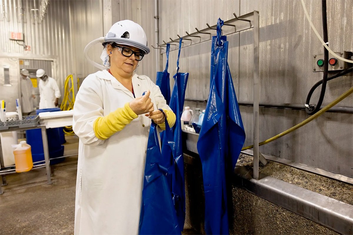 Taza-Aya-Worker-Wearable Air Curtain Michigan Turkey Producers