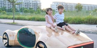 Apple Concept Car ND Woodworking Art