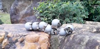 Iron-shelled Robo-snails Swarm