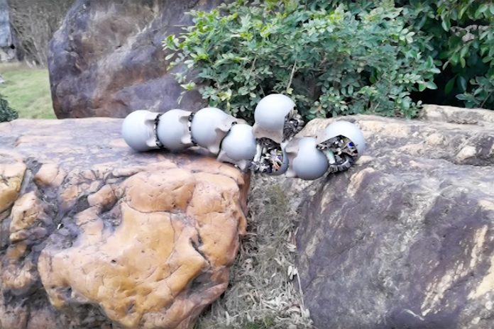 Iron-shelled Robo-snails Swarm