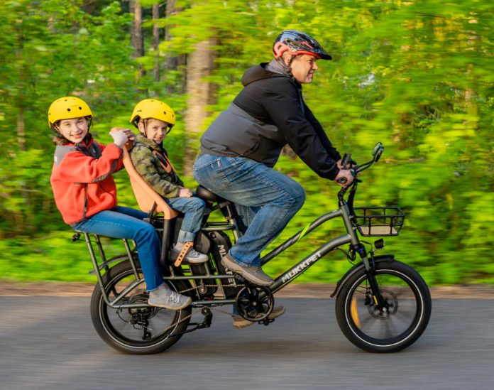 Mukkpet Stepwagon Dual-Battery Cargo E-Bike