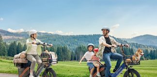 Engwe LE20 Cargo eBike