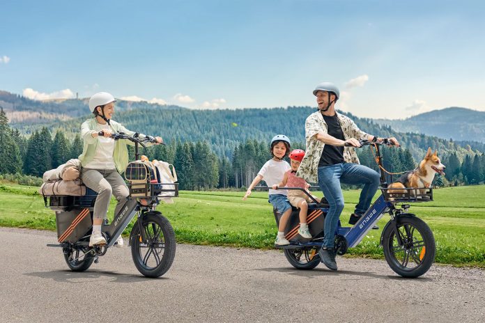 Engwe LE20 Cargo eBike