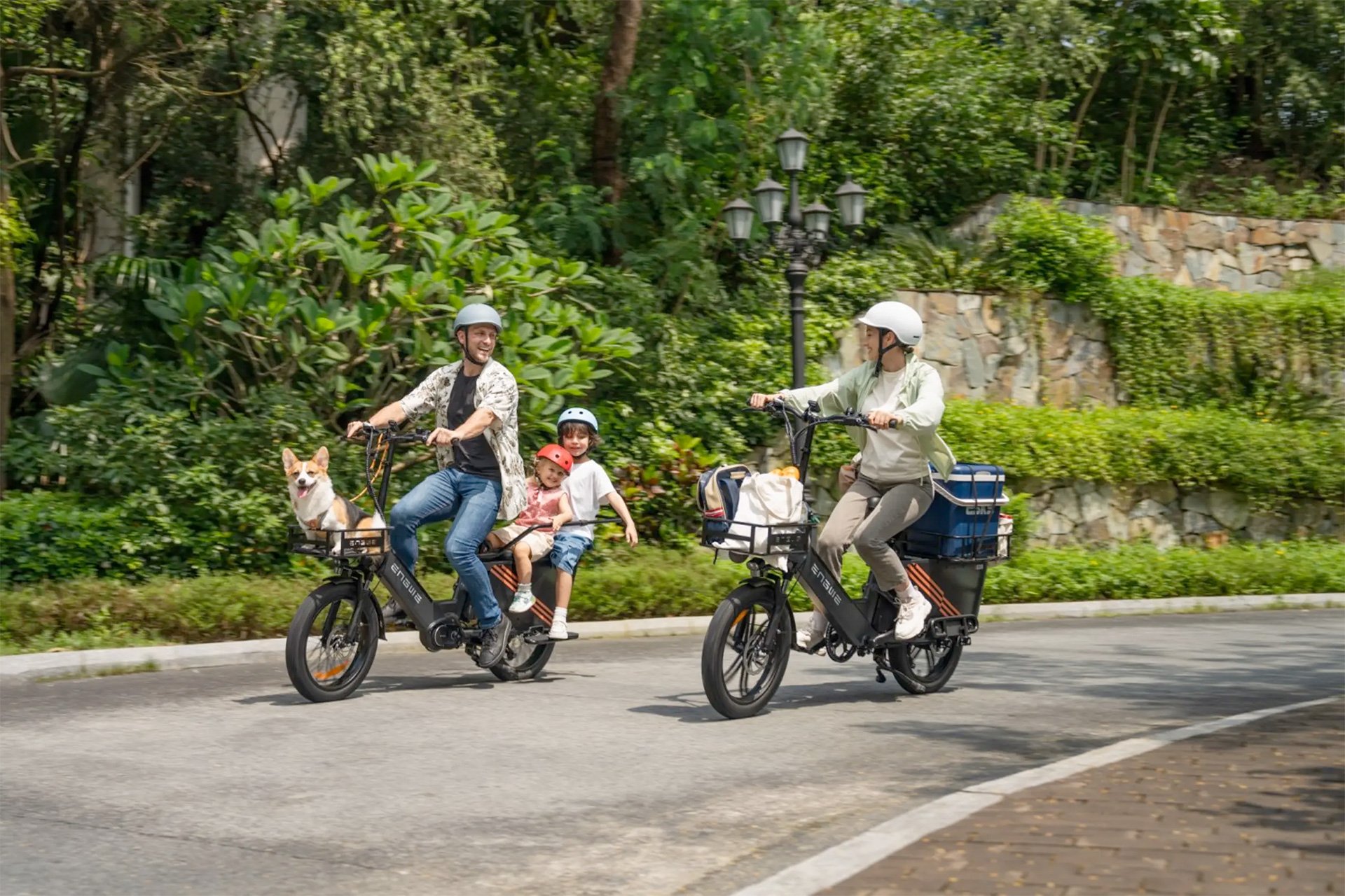 Engwe LE20 Cargo eBike Accessories