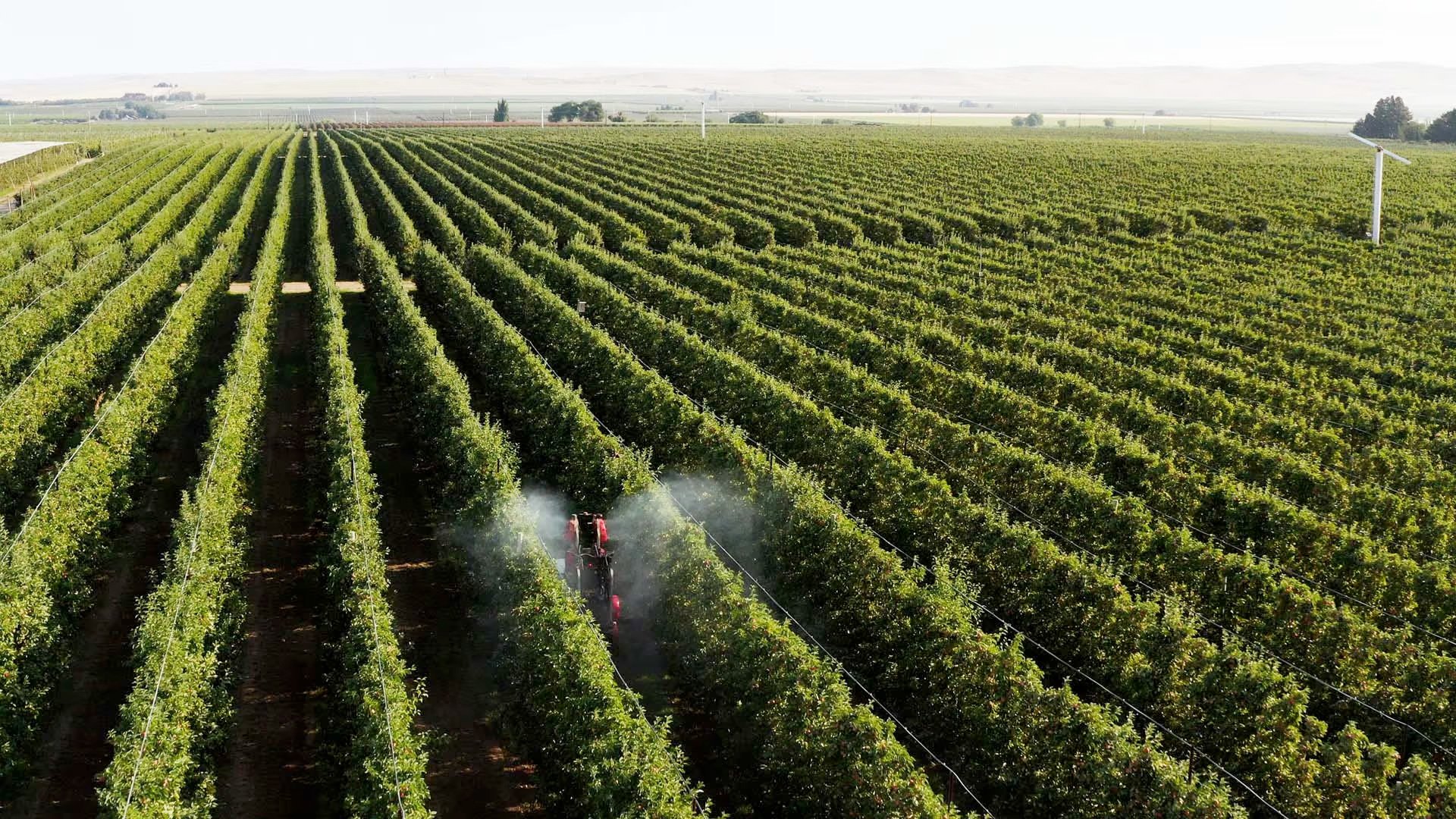 Prospr Crop-spraying Robot Narrow Spaces