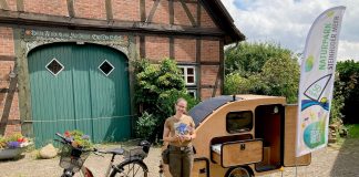 iwoody eBike-towable Wooden Trailer