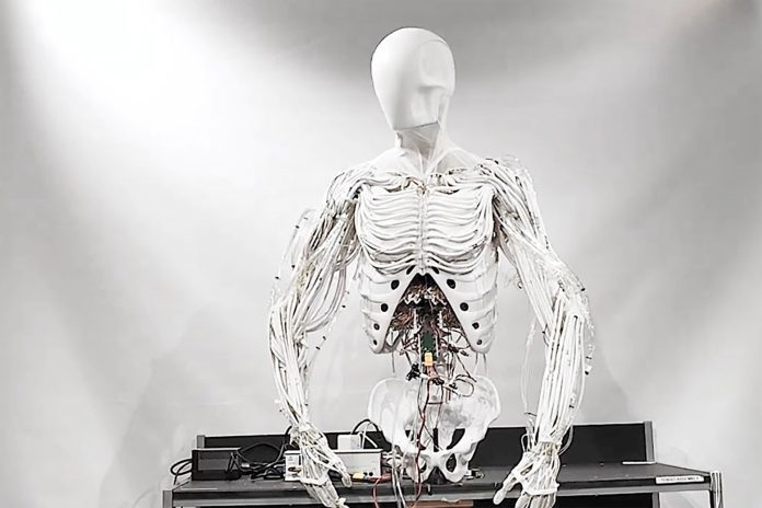 Clone Robotics Torso Robot
