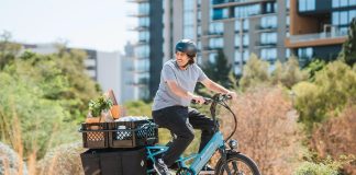 Lectric XPedition 2.0 Cargo eBike