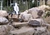 Lynx All-terrain Wheeled Robodog