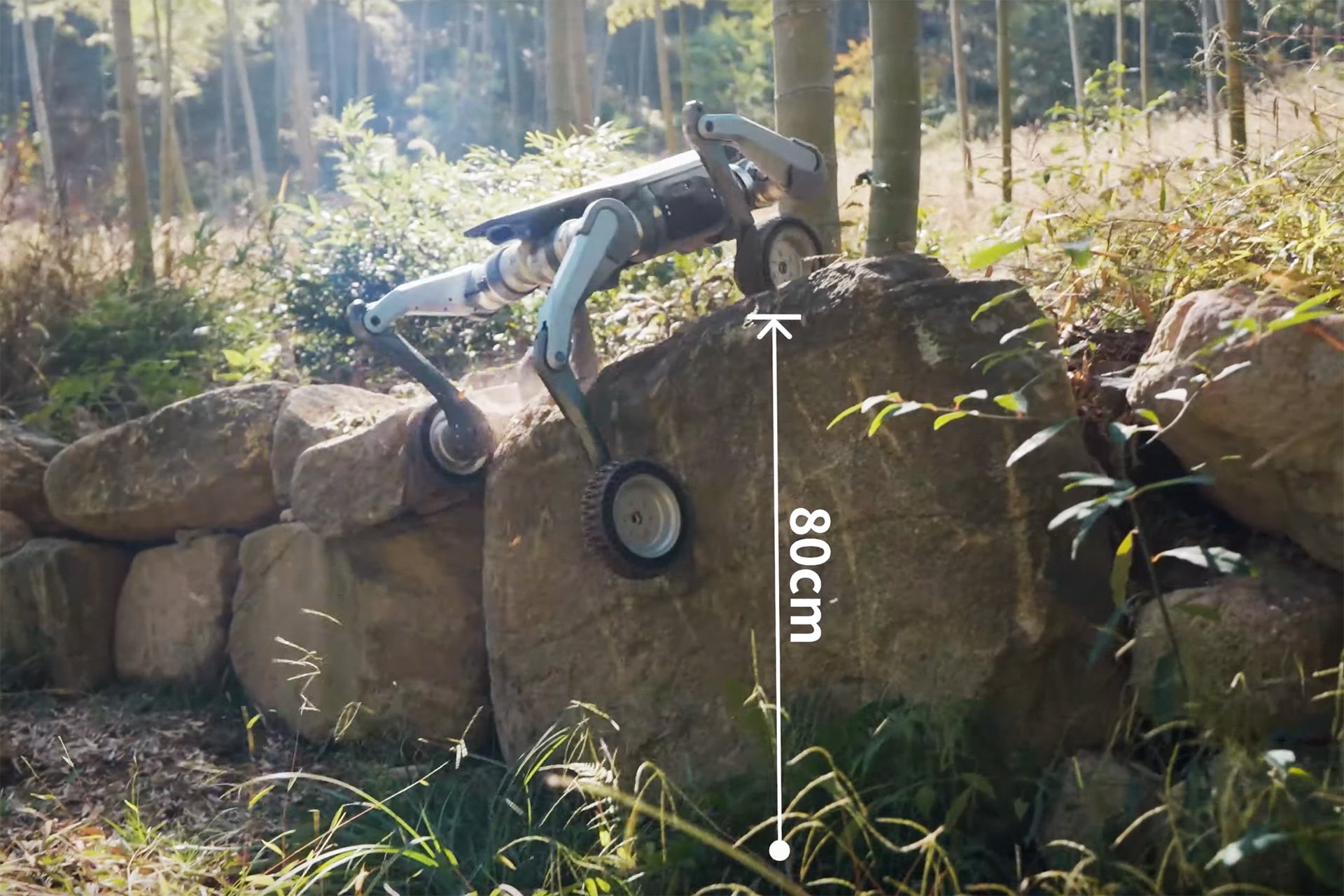 Lynx All-terrain Wheeled Robodog Climb