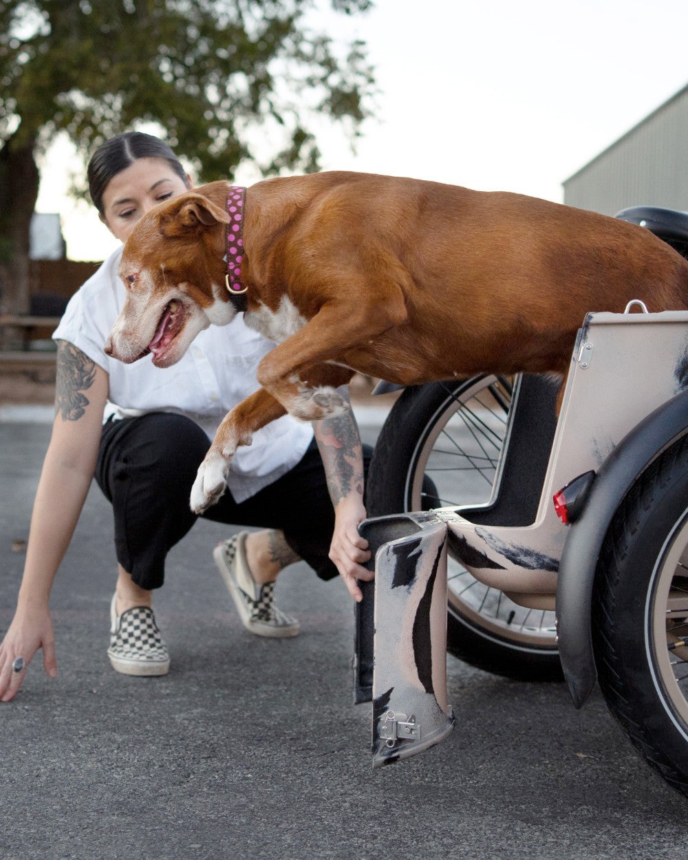 Mod Easy Sidecar Sahara eBike Doggie Door