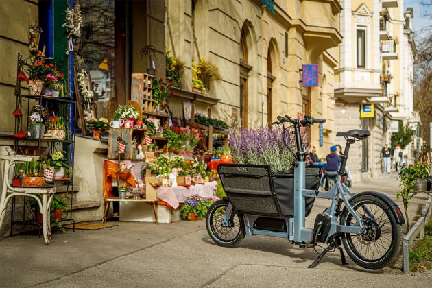 CarLos V1 Front-loading Folding Cargo eBike Basket