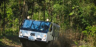 Ox Truck Flatpack Electric Mini truck