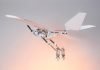 RAVEN Biomimetic Robot Bird-plane