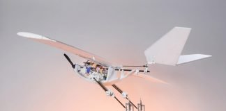 RAVEN Biomimetic Robot Bird-plane