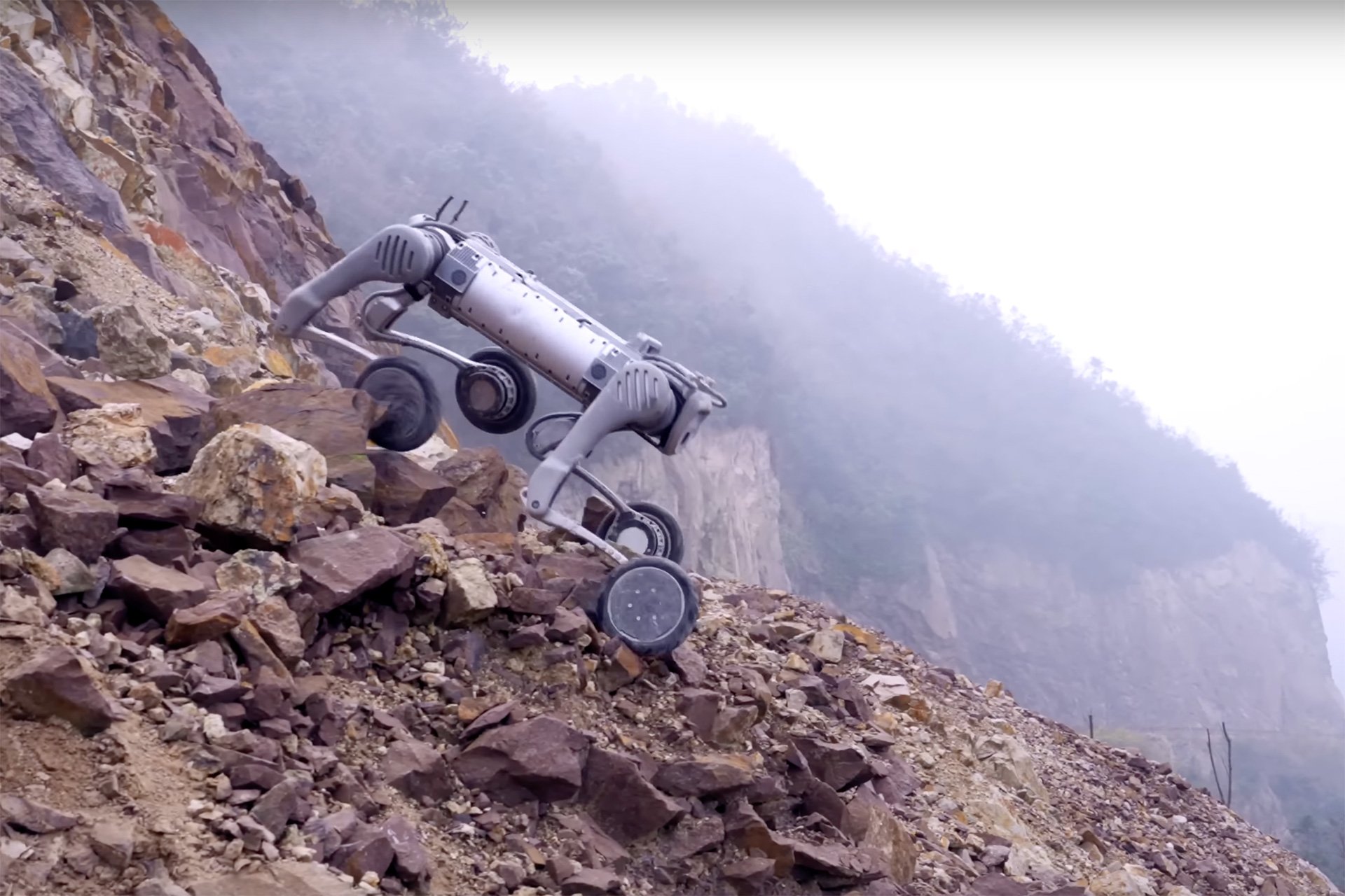Unitree B2-W Robot Dog Rough Terrain