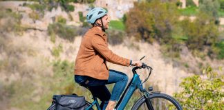 Fiido C11 eBike