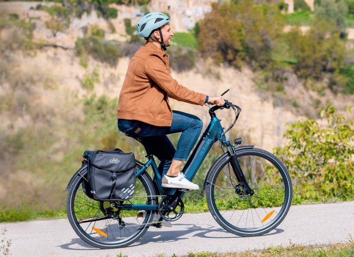 Fiido C11 eBike