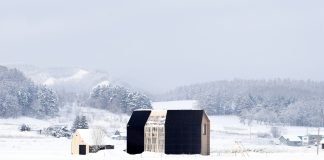House W Barn-shaped Home