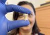 King's College London Lab-grown Teeth