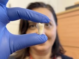 King's College London Lab-grown Teeth
