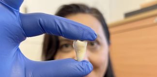 King's College London Lab-grown Teeth
