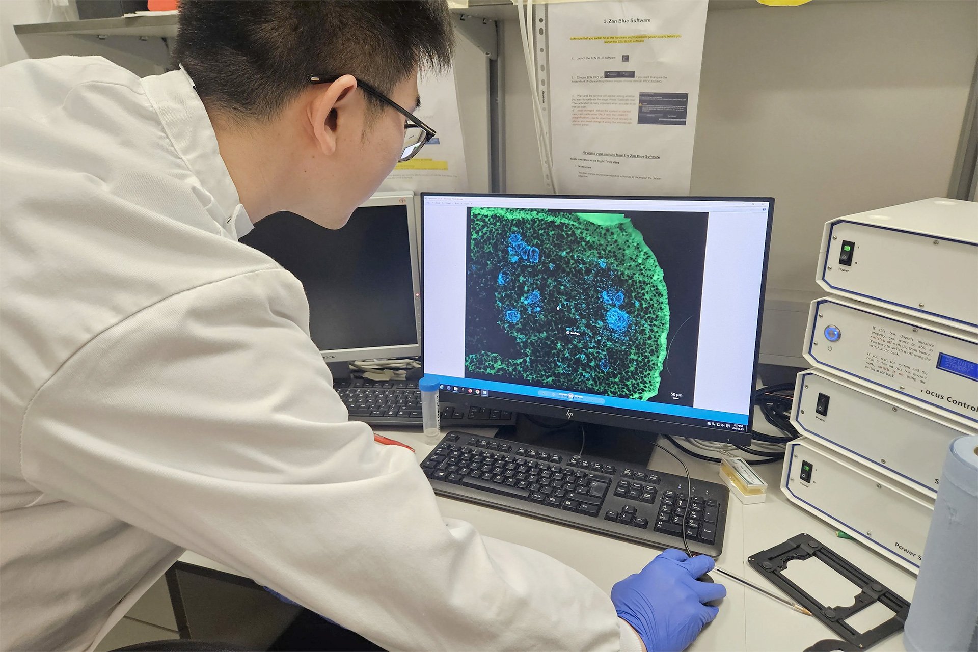 King's College London Lab-grown Teeth Cells on Computer